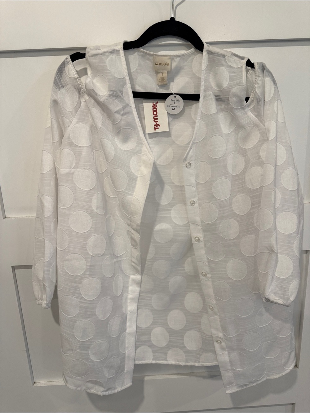 Sheer White Polka Dot Button-Front Blouse